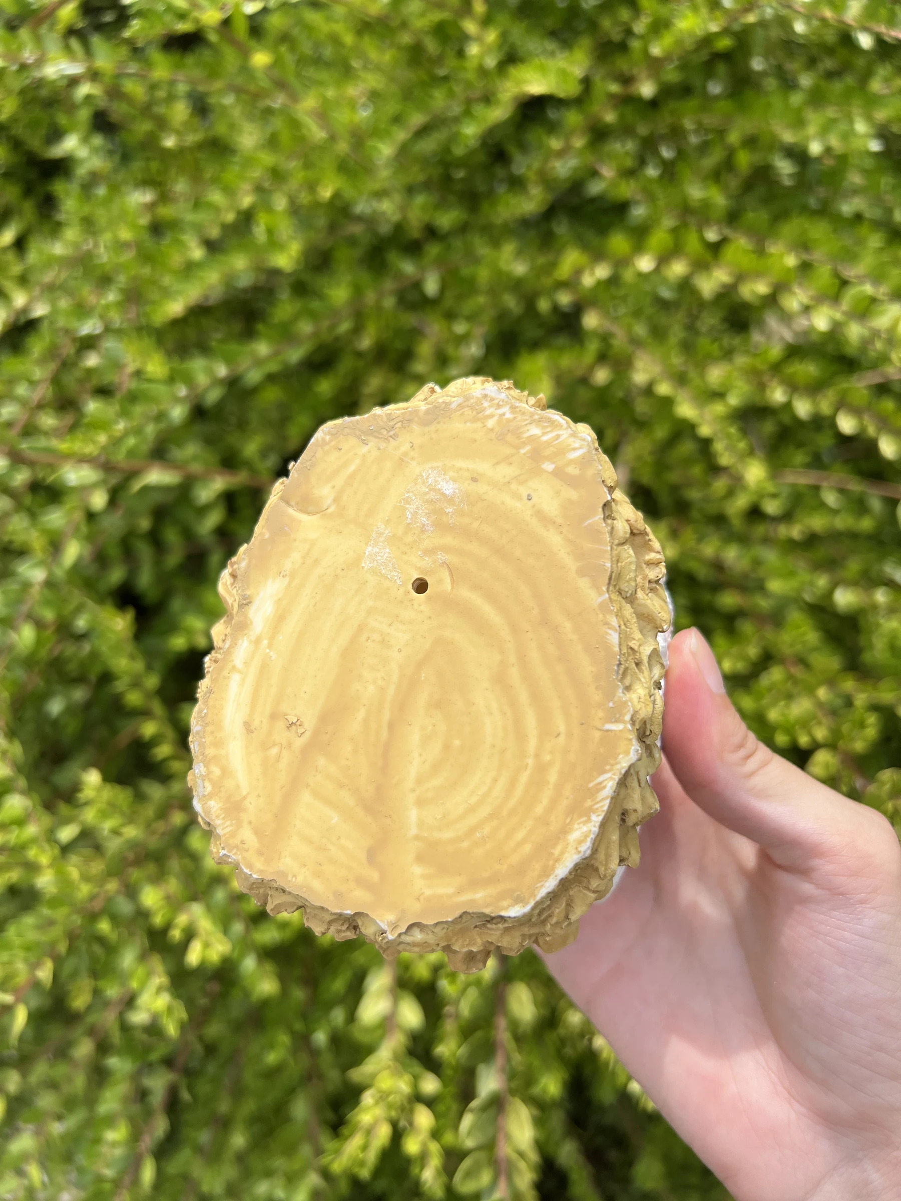 Resine kippenschep met 6 kleine vintage eellepels – photo 8
